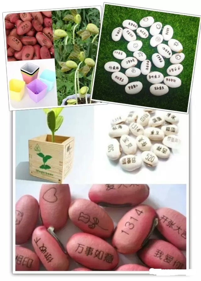 一粒粒爱心种子代表爱和希望小礼物寓意深