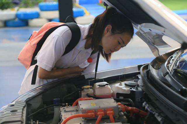 (国情社情观察团成员观察新能源汽车)