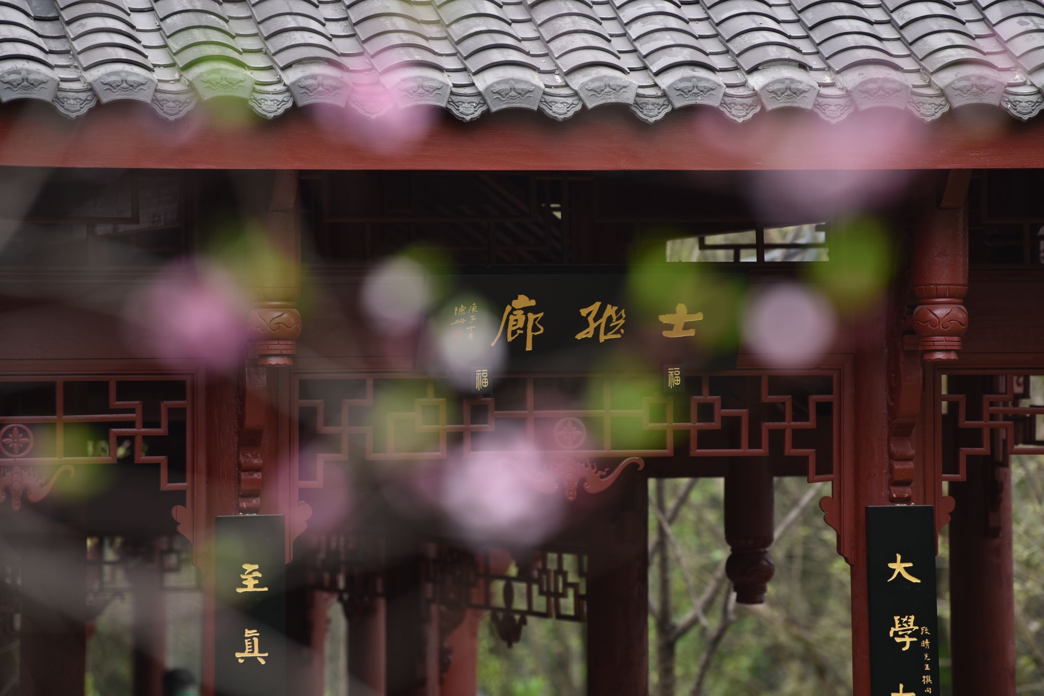 校园春景-重庆理工大学