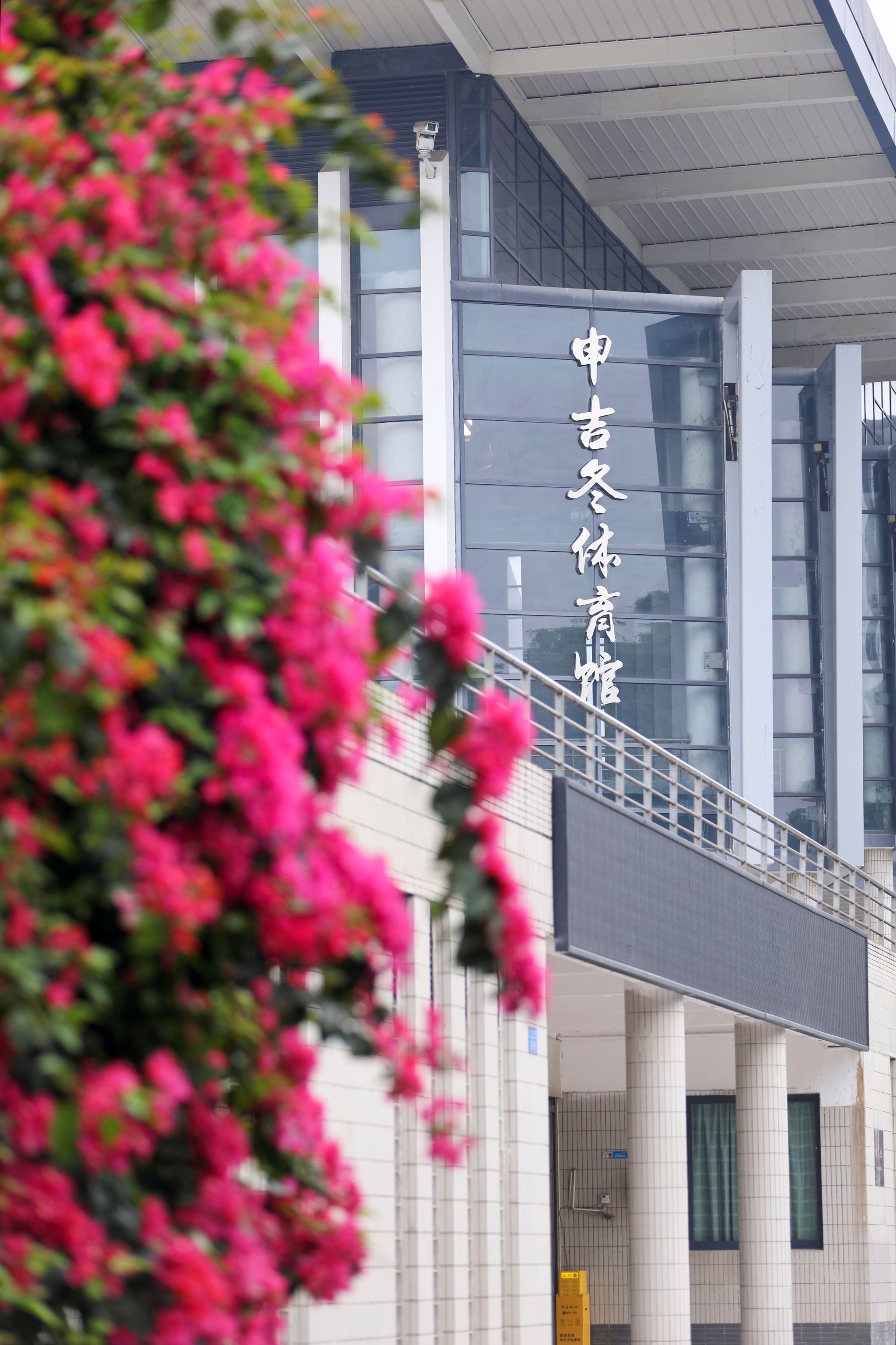校园春景-重庆理工大学
