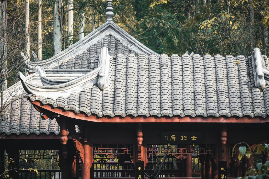 校园春景-重庆理工大学