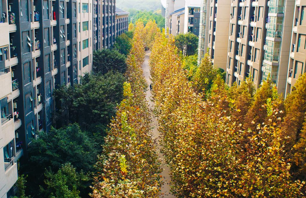 中山图书馆-重庆理工大学