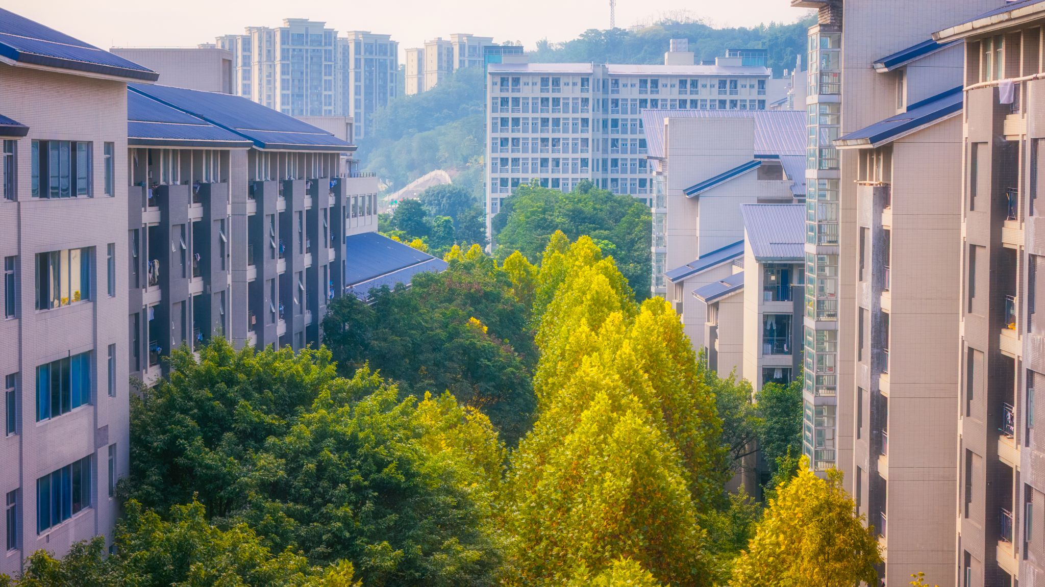 四季景色-重庆理工大学